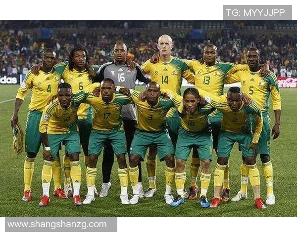 现役法国足球明星的年龄分布与职业生涯影响分析