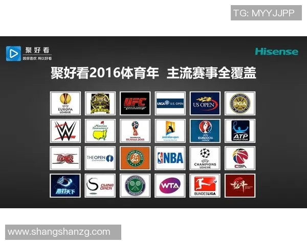 2016欧洲杯赞助商全解析及其对赛事影响的深度分析